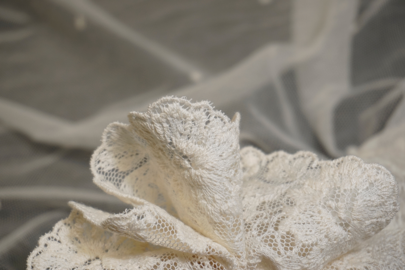 französische Spitze - Baumwolle