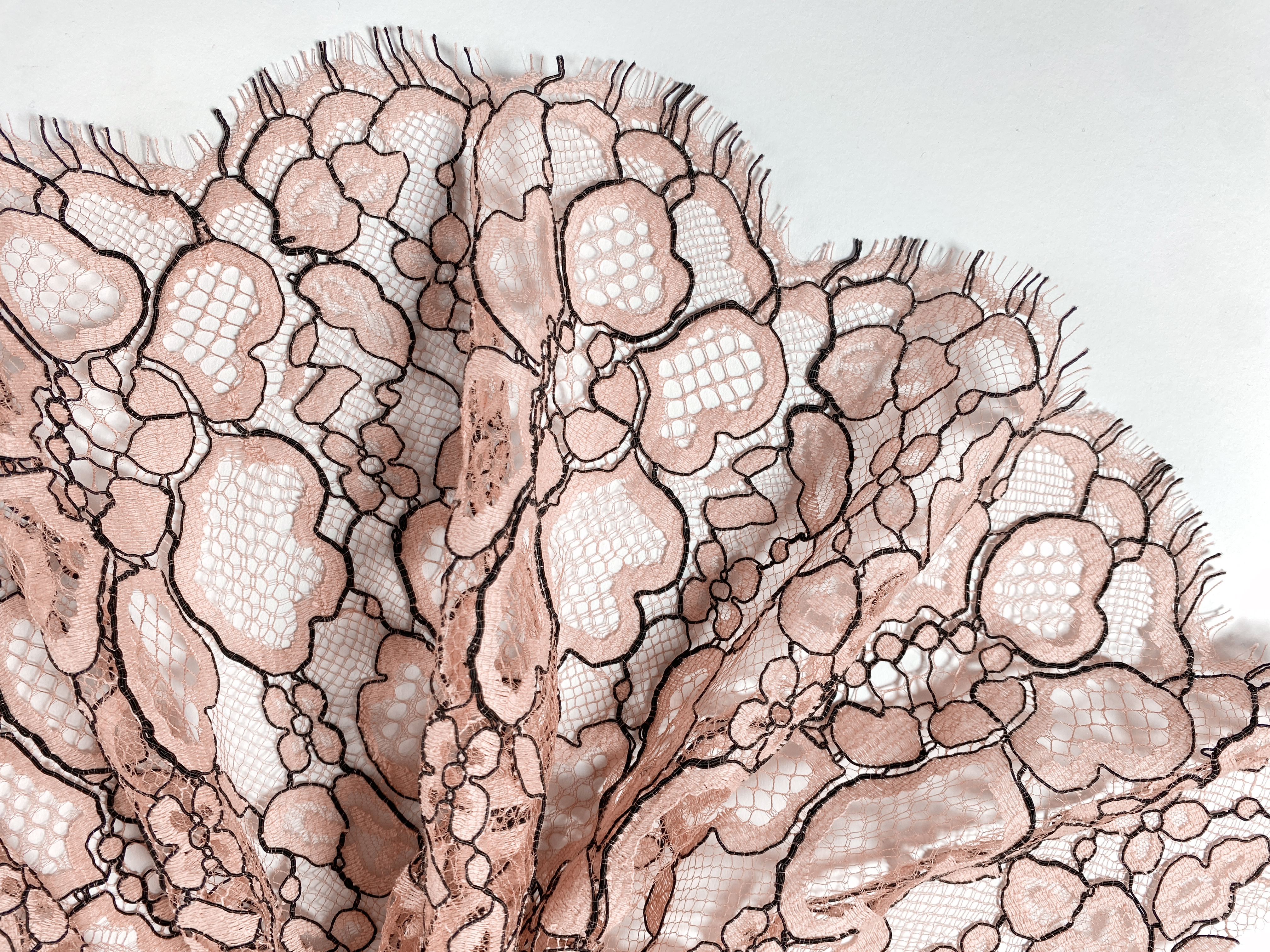 zweifarbige Spitze rosa-schwarz