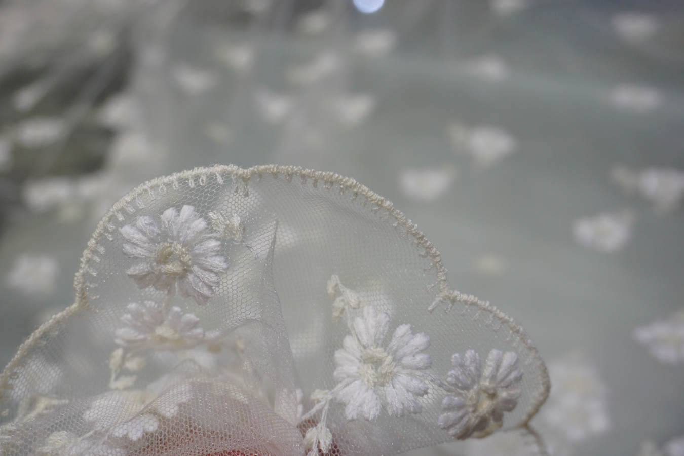 Französische Spitze - Margeriten