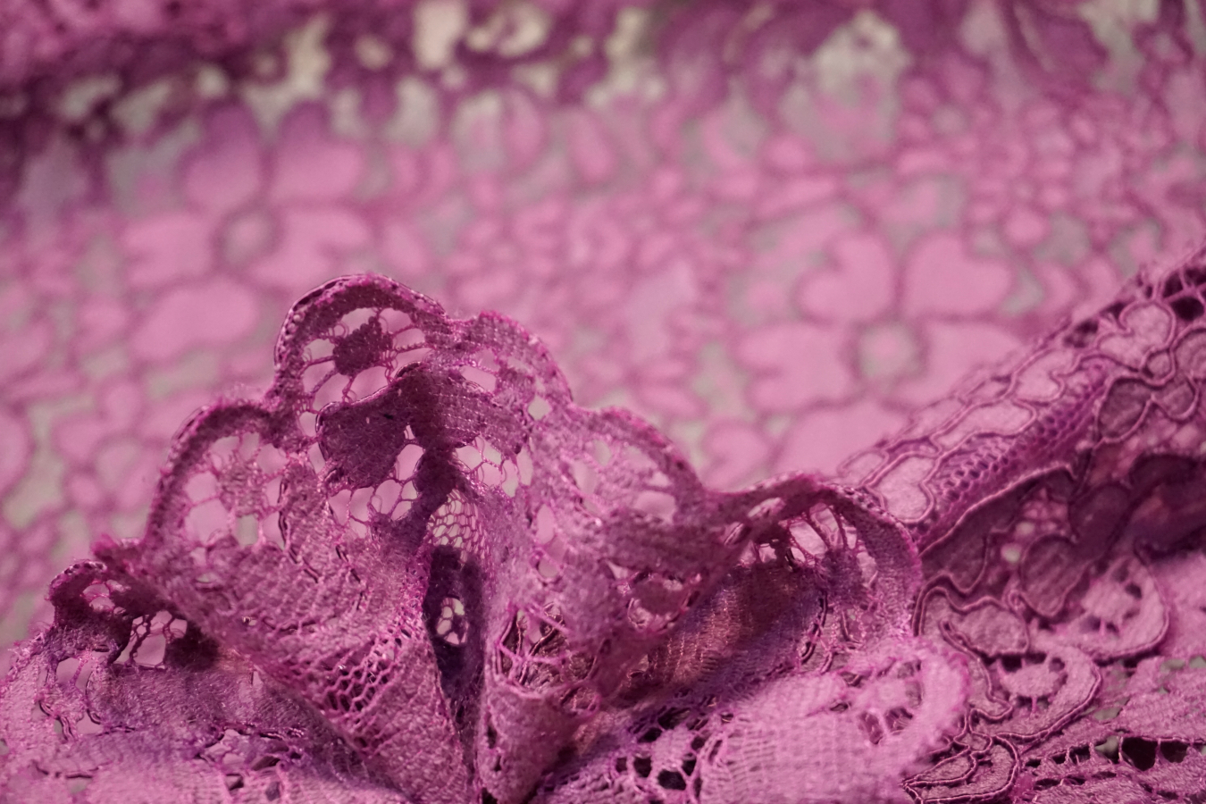 Spachtelspitze - florales Muster, lila