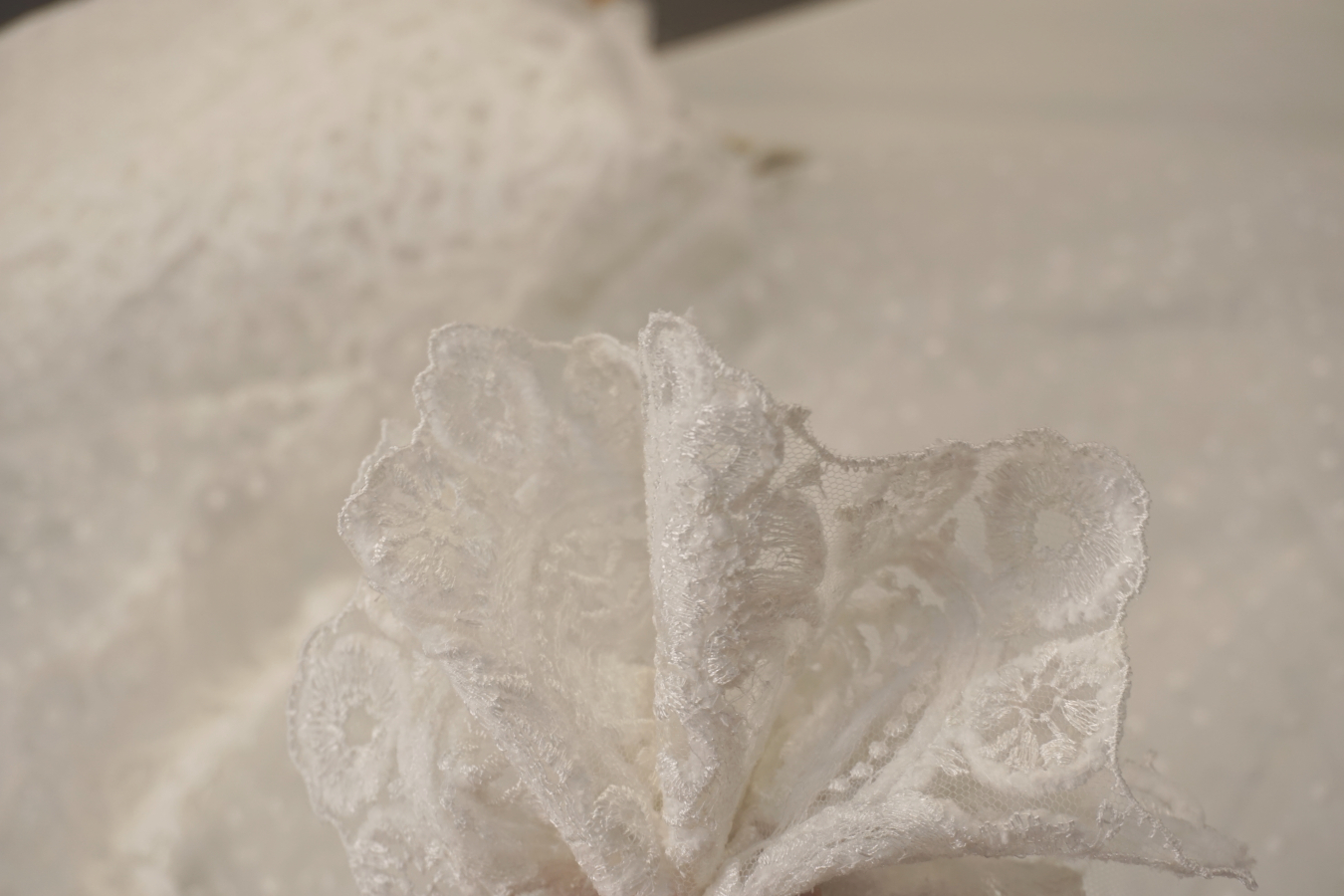 Französische Spitze - Samtbordüre