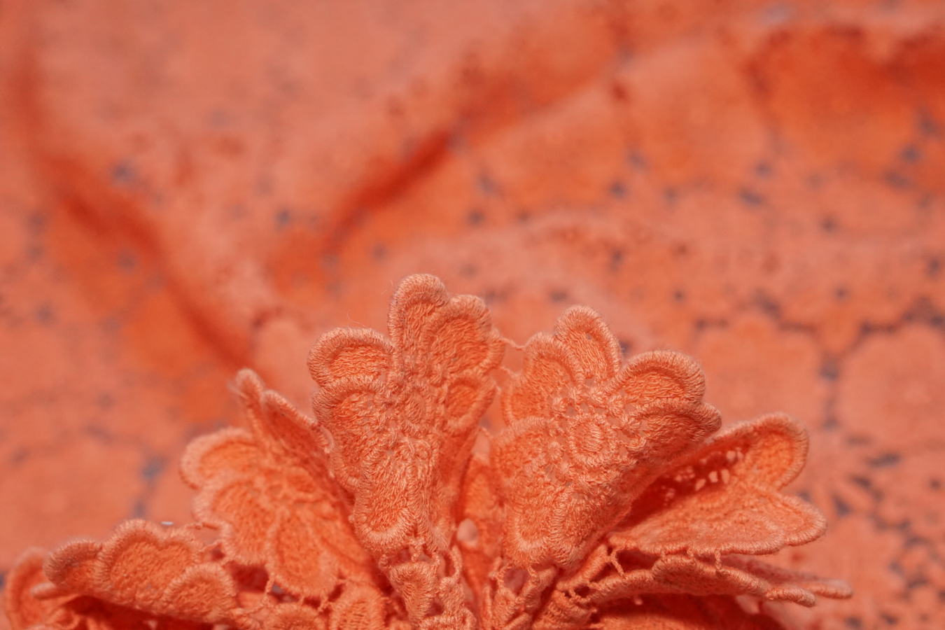 Spachtelspitze - pfirsich