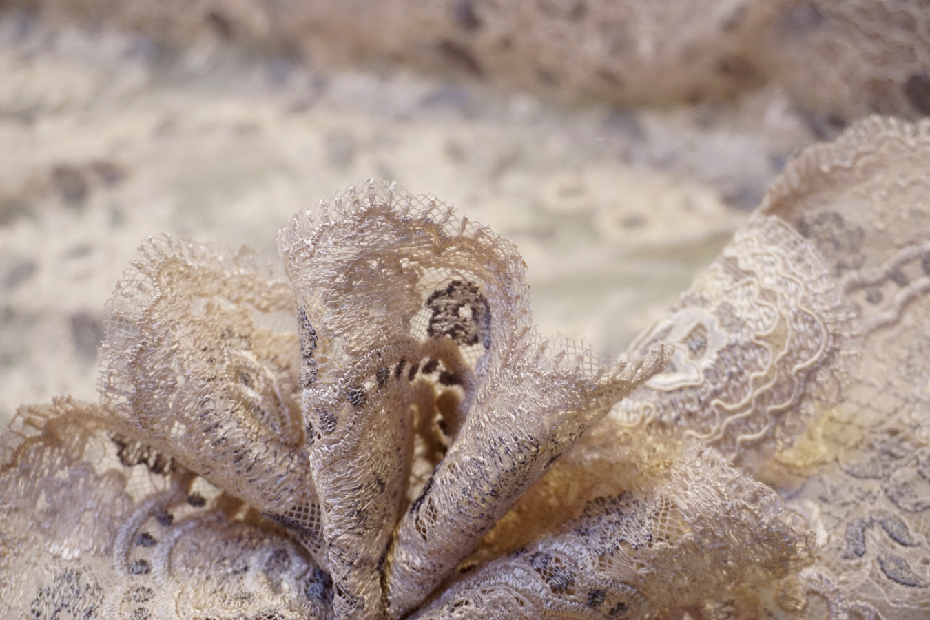 Gimpenspitze - elfenbein/grau