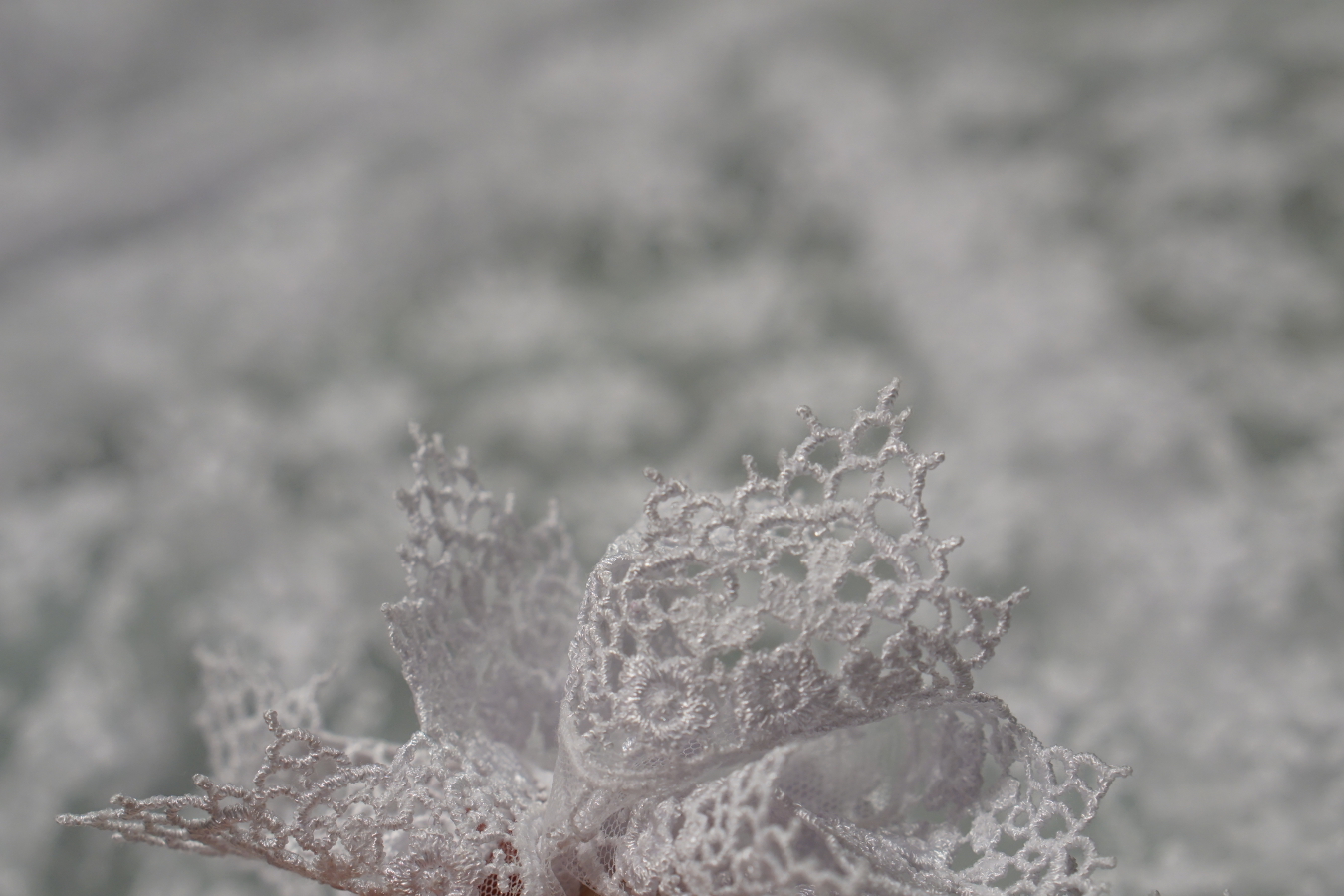 florale Spitze - weiß