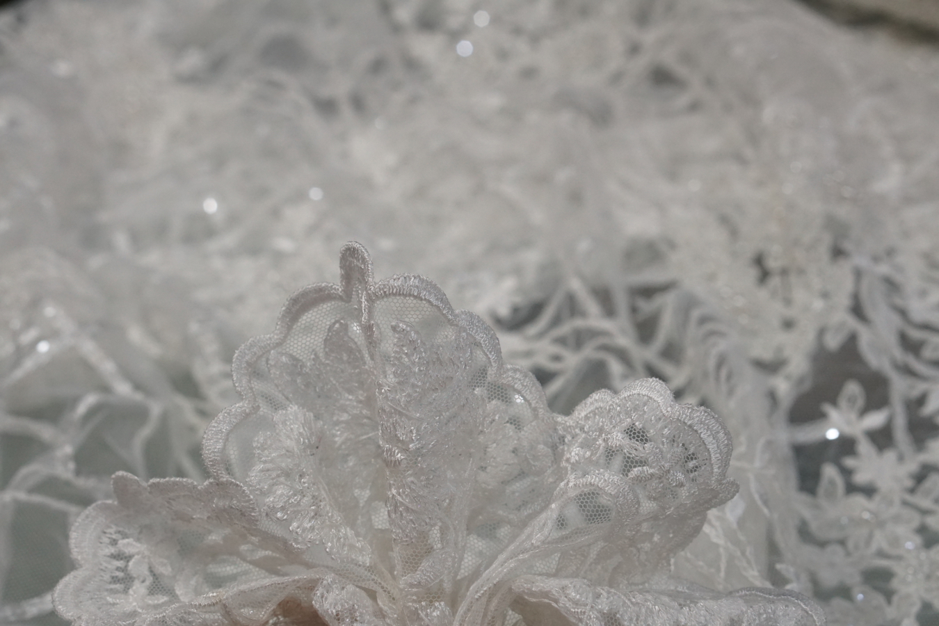 Bestickte Spitze - ecru
