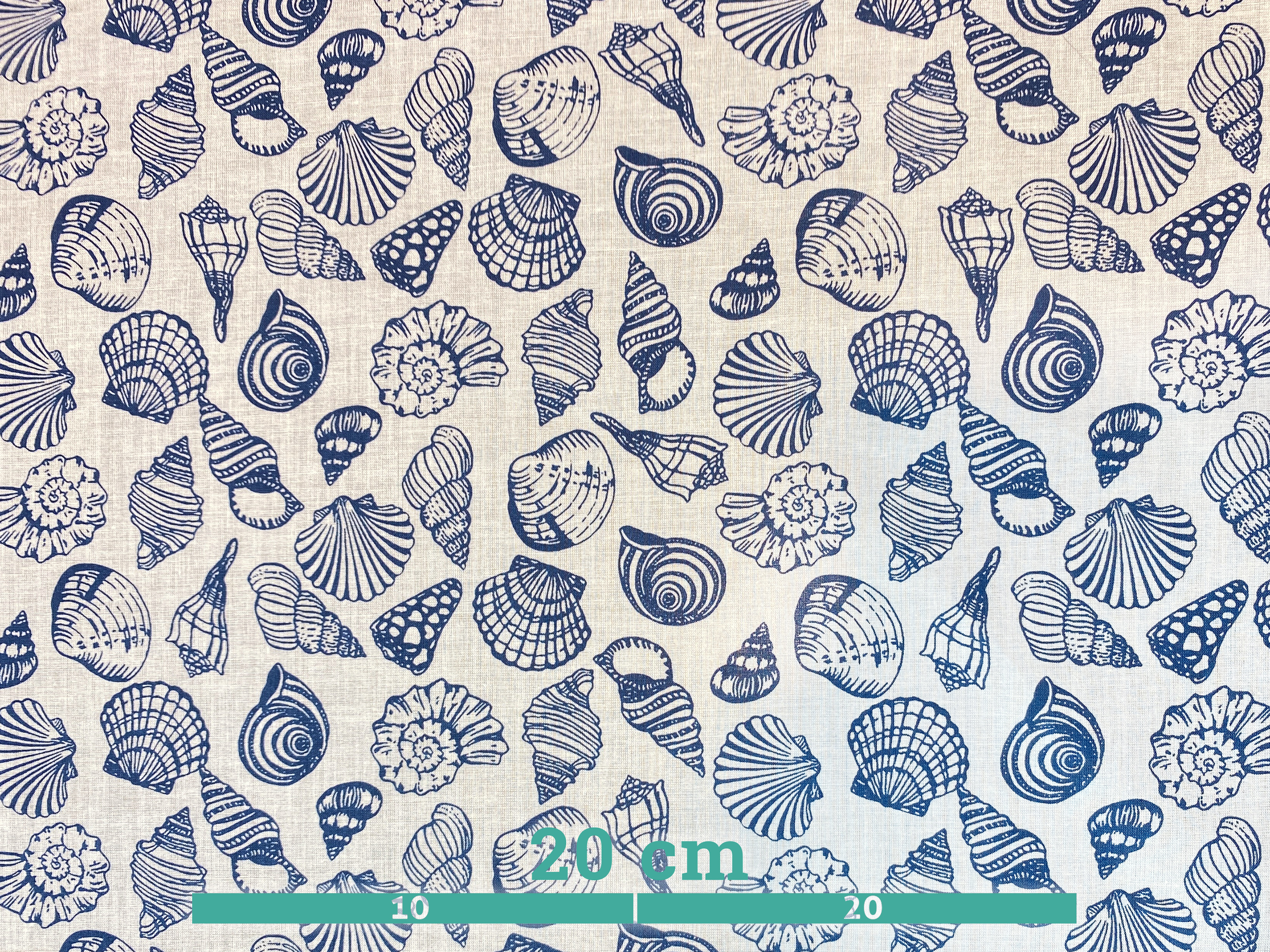 Baumwollbatist - Muscheln