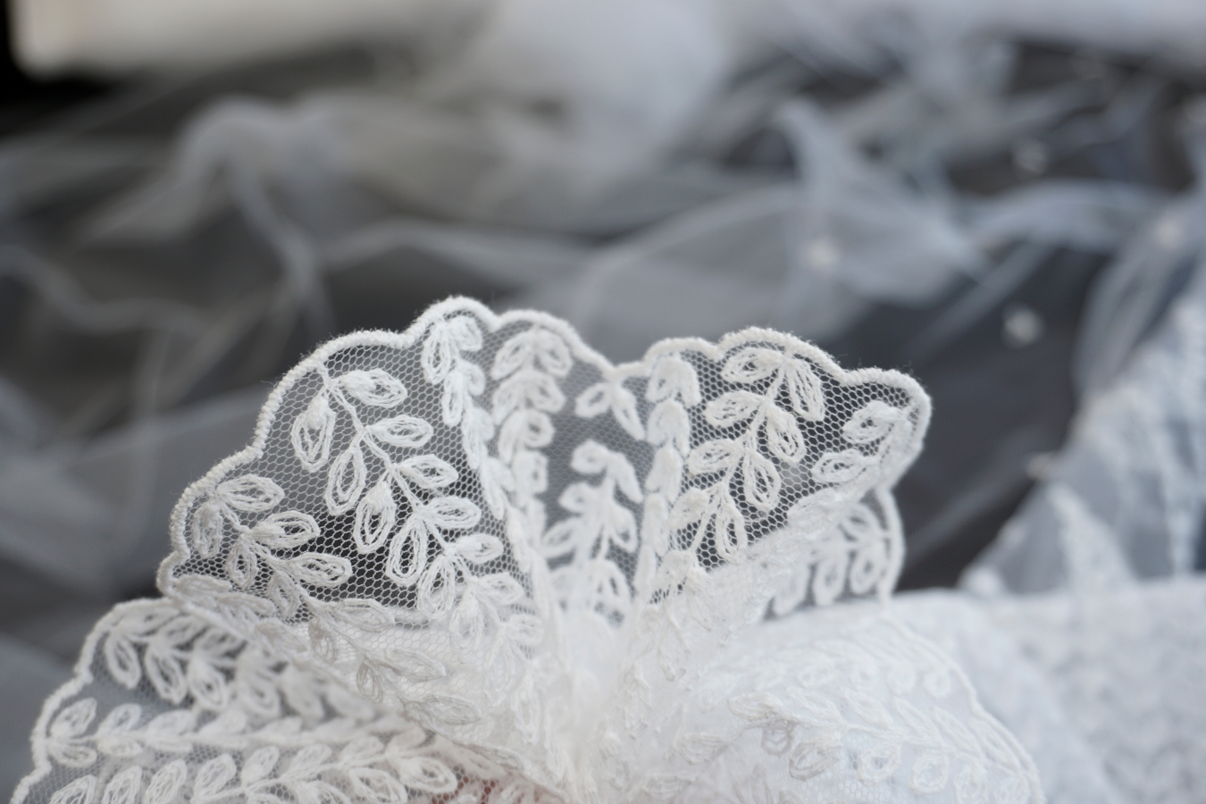 Französische Spitze - Blätterranken