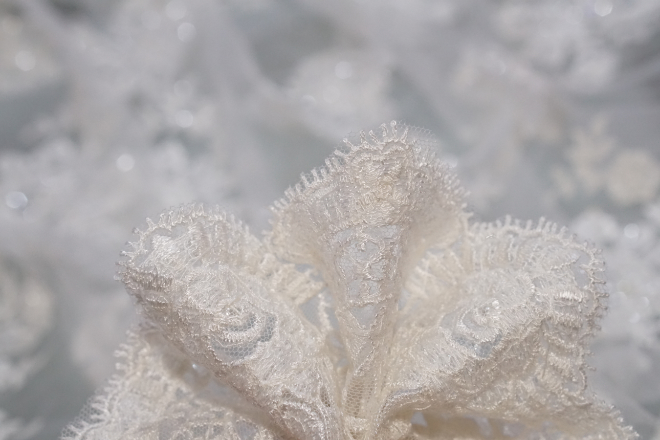 Bestickte Spitze - ecru