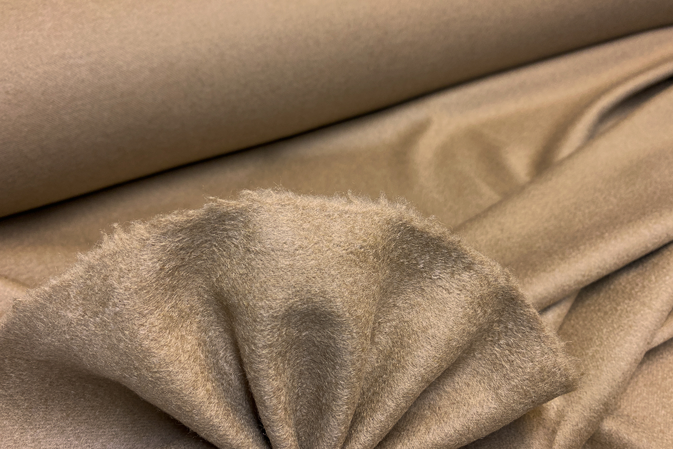 Feine Kamelhaarware - kamel