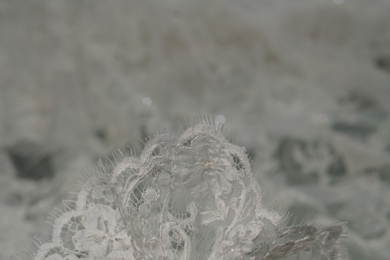 Bestickte Spitze - ecru