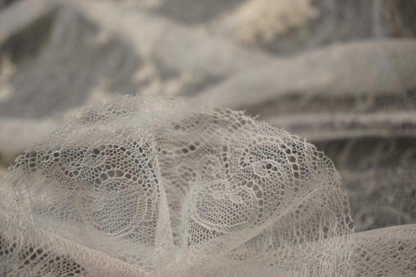 Französische Spitze - Blumen auf Ornamenten