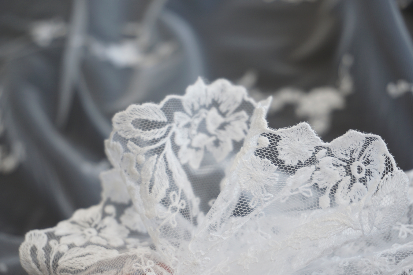 Französische Spitze - Blütenranken