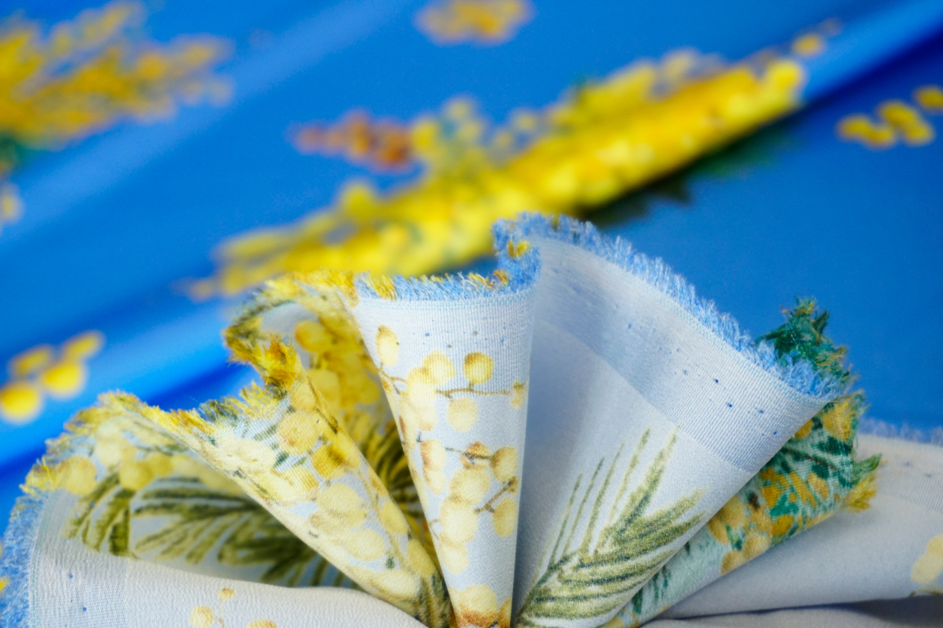 Seidenstretch - Mimosen