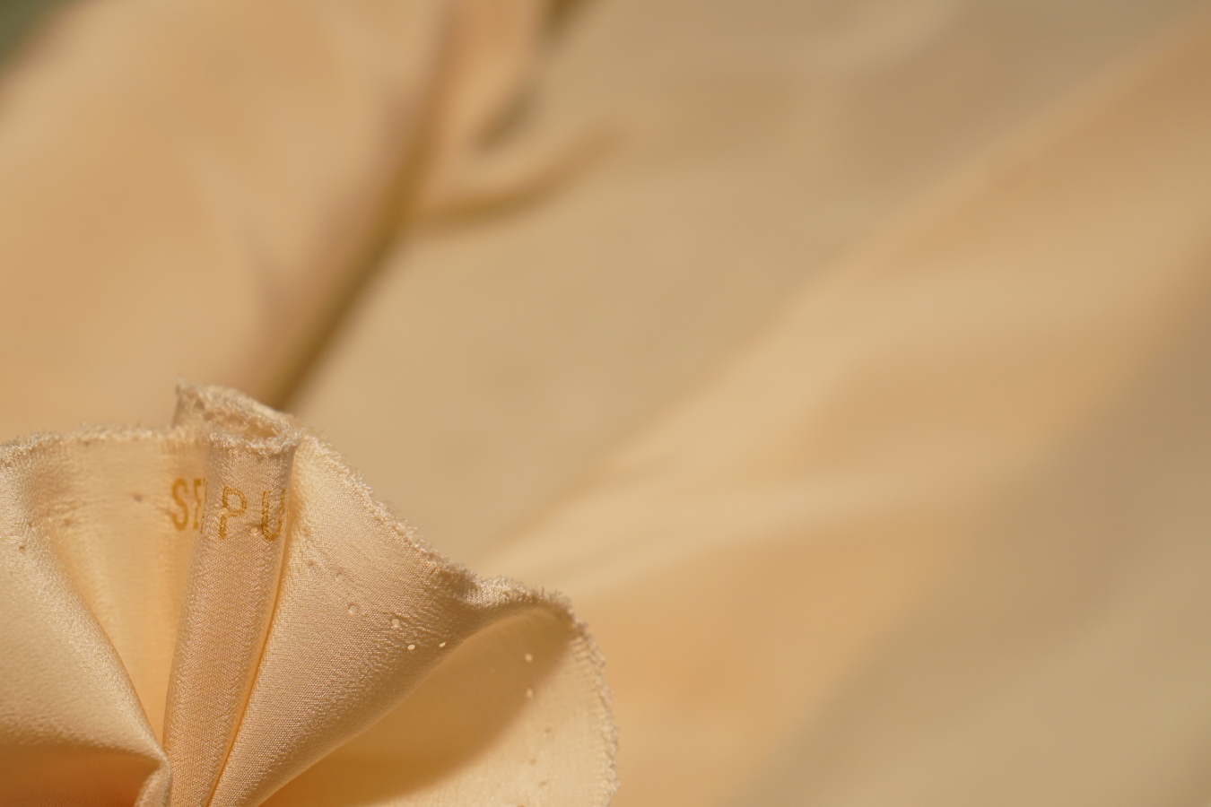 Feiner Seidencrêpe - vanille