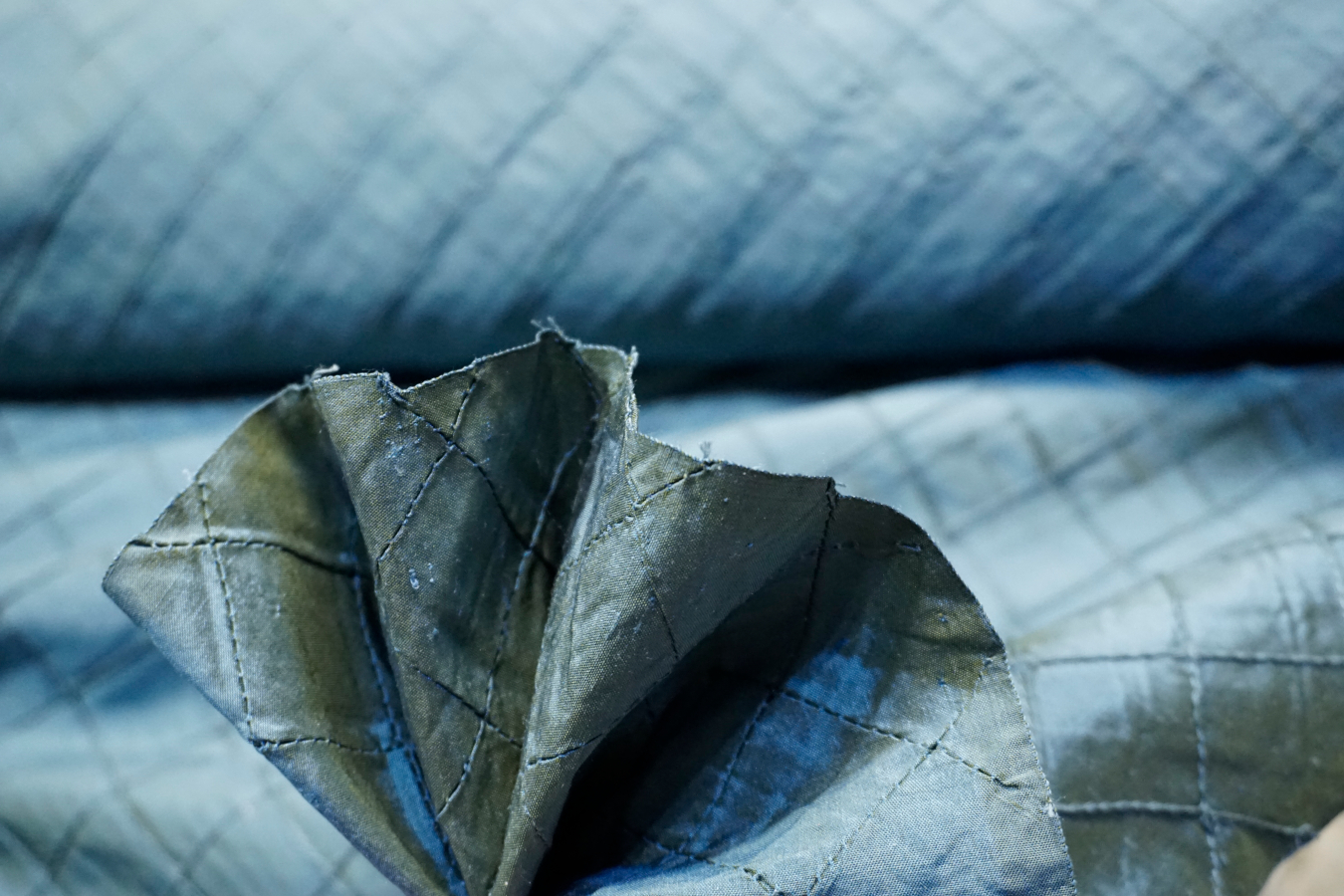 Seide mit Zierbiesen