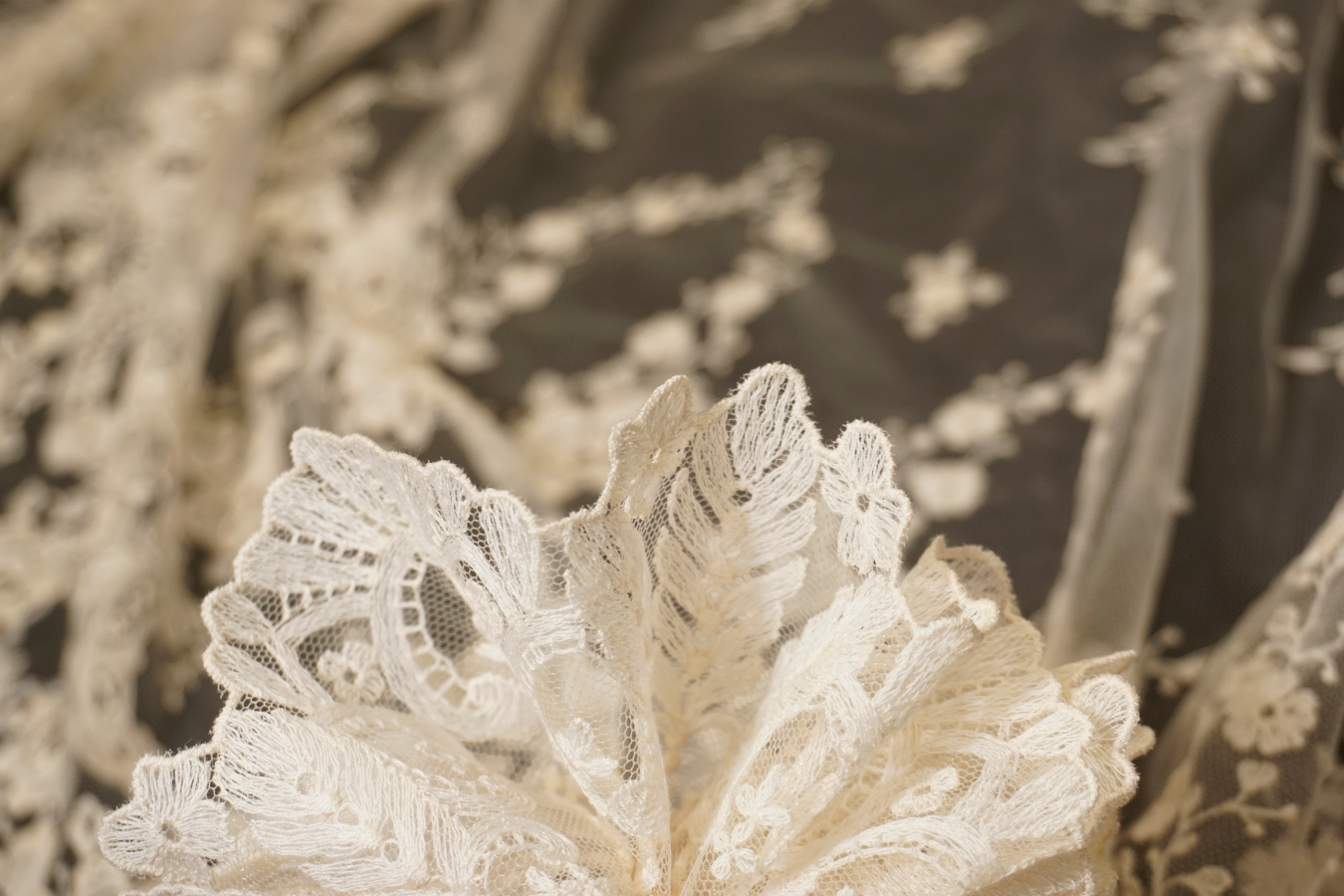 Französische Spitze - creme