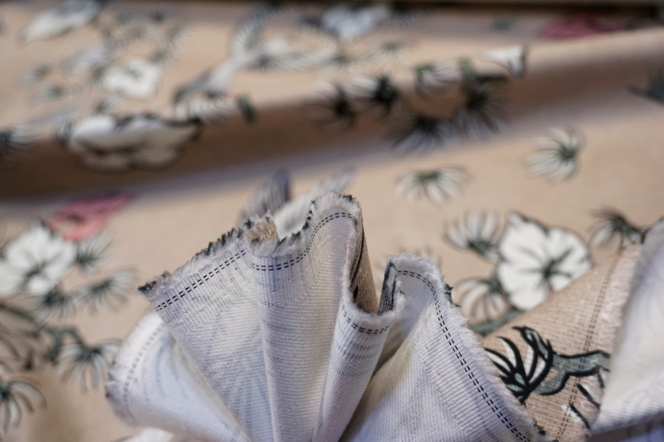 Baumwollstretch - Kolibris