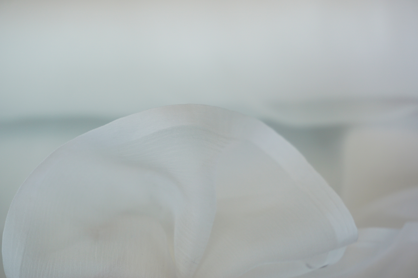 Seidenchiffon - ecru