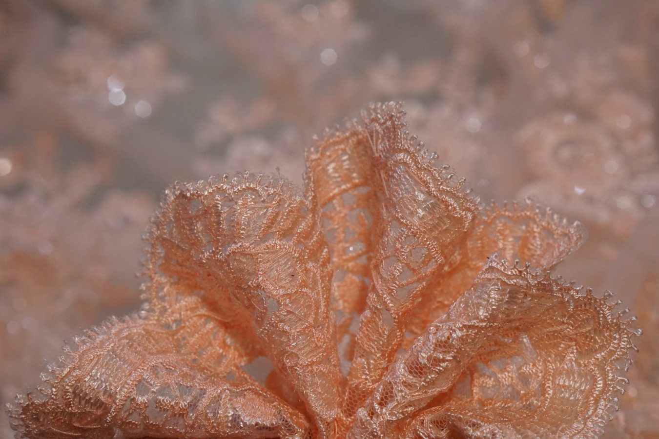 Bestickte Spitze - lachs