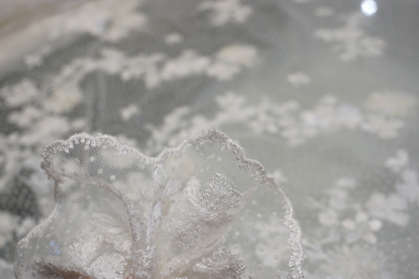 Französische Saumspitze - ecru mit creme