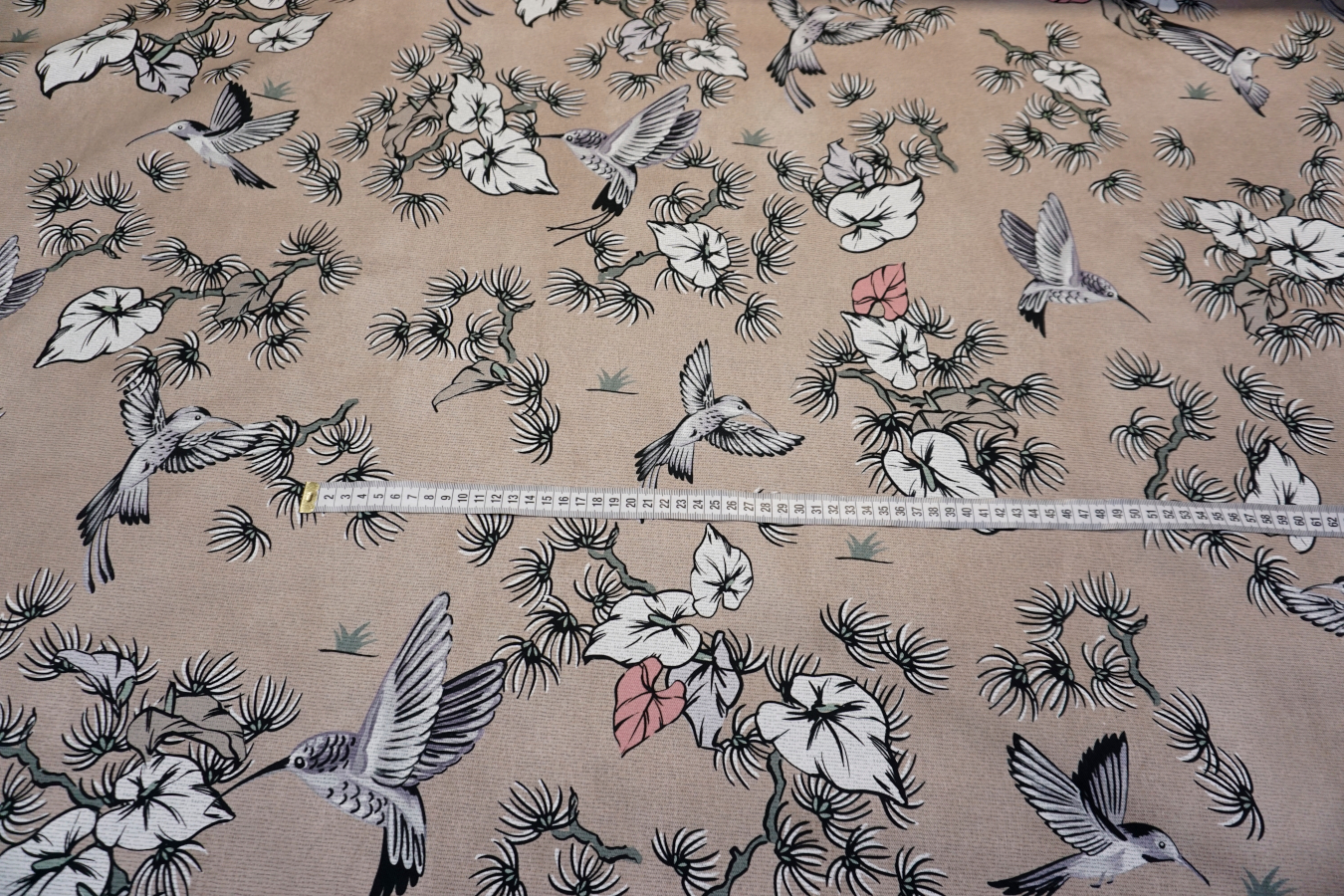 Baumwollstretch - Kolibris